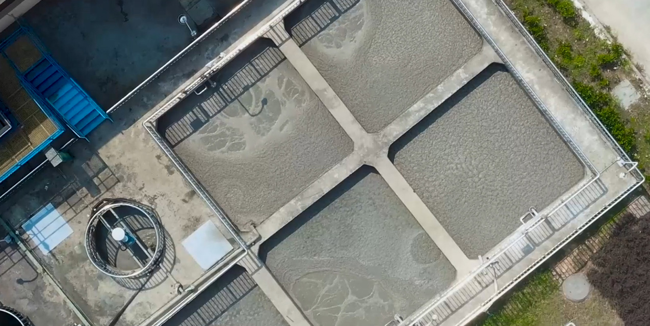 ��ɫ����