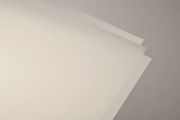 ������ѧĤ5